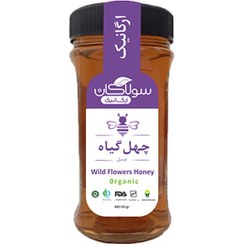 تصویر عسل ارگانیک چهل گیاه سولاکان 685 گرم عسل ارگانیک چهل گیاه سولاکان 685 گرم