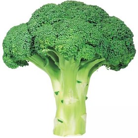 تصویر کلم گل/کلم بروکلی 