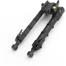 تصویر دوپایه متحرک 