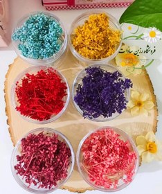 تصویر گل خشک ریز رنگی - قرمز 