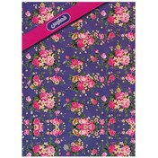 تصویر کلاسور ۱۰۰ برگ ۲۶ حلقه فطرس 