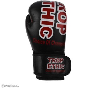 تصویر دستکش بوکس مدل TROP ETHIK 2025 