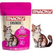 تصویر تشویقی گربه کرانچی اسنکی اسپانیا طعم مرغ و پنیر / تقویت استخوان بندی 60 گرم Snacky Crunch Strong Bones 60g