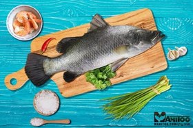 تصویر ماهی سیباس 