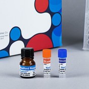 تصویر کیت بسیار دقیق سنجش پروتئین 