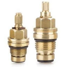 تصویر مغزی شیر 