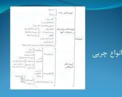 تصویر پاورپوینت ساختار و متابولیسم چربی در فعالیت های ورزشی (ویژه ارائه کلاسی درس فیزیولوژی ورزشی) 