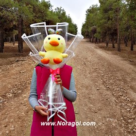 تصویر دسته گل اردک پاپیونی 