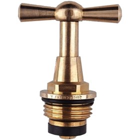 تصویر مغزی شیر حیاطی مدل BRNJ1/2 