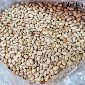 تصویر سویا آجیلی 