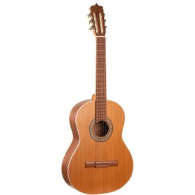 تصویر گیتار کلاسیک پارسی مدل D6 