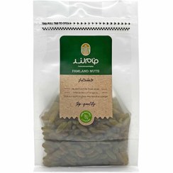 تصویر کشمش سبز - زیپ دار / 500 گرم 