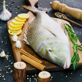 تصویر ماهی شعری 