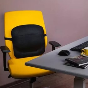 تصویر پشتی طبی باراد LS1 