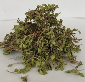 تصویر پودر آویشن 300 گرم 