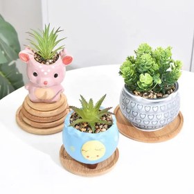 تصویر زیرلیوانی گرد ۶تایی 