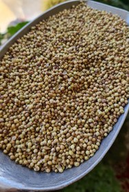 تصویر پودر گشنیز 