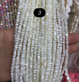 تصویر صدف طبیعی طرحدار 