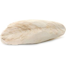 تصویر کف دریا اوشن 