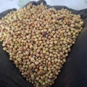 تصویر تخم گشنیز ( 1000/500/250/100) گرمی 