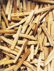 تصویر پالو سانتو Palo Santo (یک کیلوگرم) 