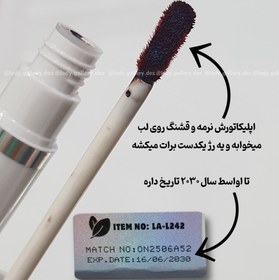 تصویر رژپیلاف - شماره شش 