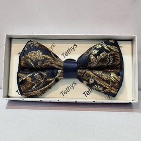 تصویر پاپیون P19 