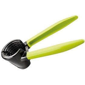 تصویر گردوشکن ایبیلی 