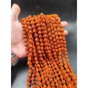 تصویر تسبیح رودراکشا Glory be to Rudraksha