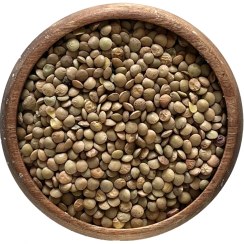 تصویر عدس ریز ساسکن 