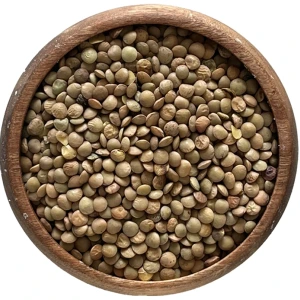 تصویر فروشگاه آجیل بری