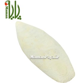 تصویر کف دریا - بزرگ 