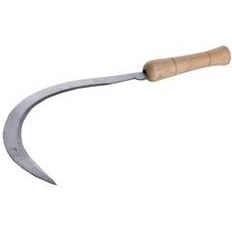 تصویر داس اره ای متوسط 