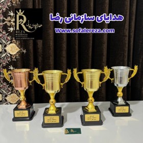 تصویر کاپ ورزشی فلزی کد ۱۱۰۹ 