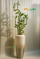 تصویر شیشه بلند کنار سالنی مدل 19 - صدفی 