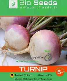 تصویر بذر شلغم Bio Seeds 