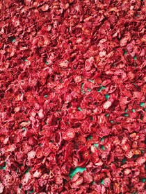 تصویر گوجه خشک لوکس 