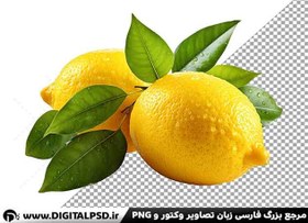 تصویر دانلود عکس با کیفیت لیمو 