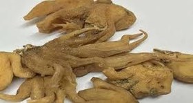 تصویر ثعلب پنچه ای اصل (50گرمی ) 