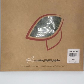 تصویر گیاه گزنه 