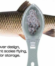 تصویر پولک گیر ماهی fish scales 