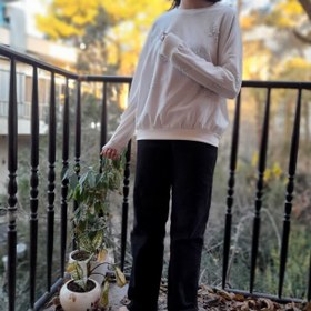 تصویر بلوز پــروانه 