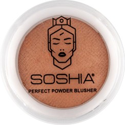 تصویر رژگونه دوآل فینیش وزن 7 گرم سوشیا 2 Soshia Perfect Powder Blusher Dual Finish Daily 22 g