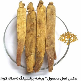 تصویر ریشه جینسینگ 7 ساله کره ای (Super Premium) 