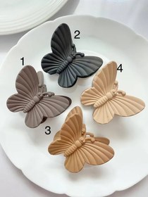 تصویر کلیپس پروانه شمعی 