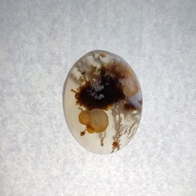 تصویر سنگ شجر کد 40011 