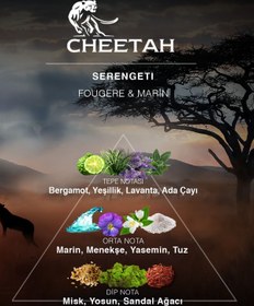 تصویر ادکلن اورجینال برند Cheetah مدل Serengeti Fougere &amp; Marine 100ml کد 799285354 