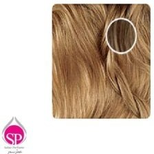 تصویر کیت رنگ ابرو بلوند تیره بیول - 6.0 (N6) - خرید عطر و ادکلن اورجینال و لوازم آرایشی از فروشگاه اینترنتی عطر سحر 