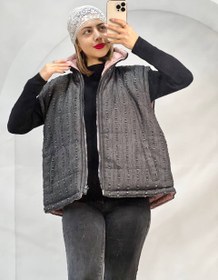 تصویر پافر دو رو 