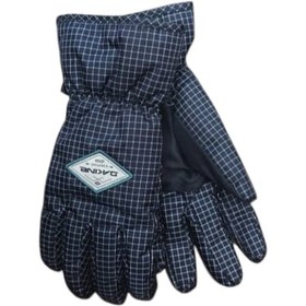 تصویر دستکش اسکی مدل DAKINE Gray 